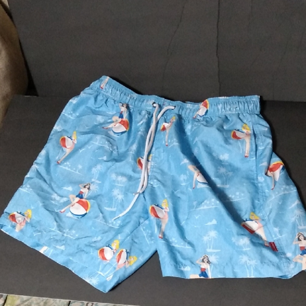 Pinup Girl Beachball Swim Trunks